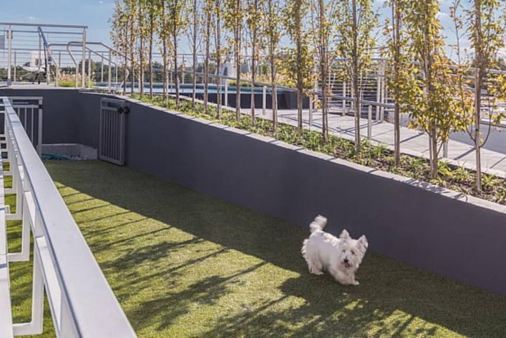 Modern, Chic, Great Location Διαμέρισμα Ουάσινγκτον Εξωτερικό φωτογραφία